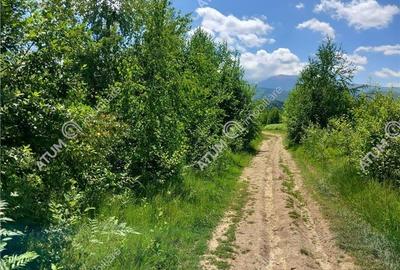 Teren intravilan 3900 mp Porumbacu de Sus, Sibiu - 2