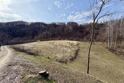 Spațiu comercial, în Păușești - 1