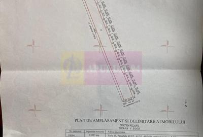 Teren Domnesti de vanzare - 2