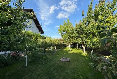 Proprietar Vand casa individuala in zona Timisoara - 4