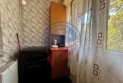 Apartament cu 2 camere de inchiriat in Lapus/Sucpi - 16