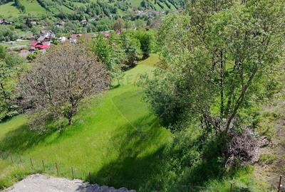 Teren Construcții intravilan de 1431 mp, în Moieciu de Jos - 6
