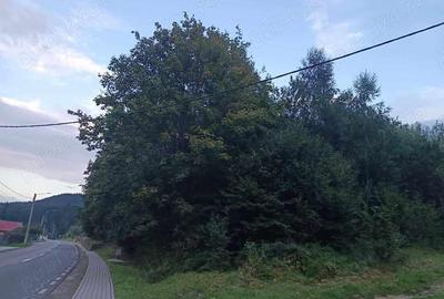 Teren inttravilan de 1000 mp de vanzare in Baile Tusnad, langa drumul principal, bun pt Hotel Teren inttravilan de 1000 mp de vanzare in Baile Tusnad, langa drumul principal, bun pt Hotel - 2