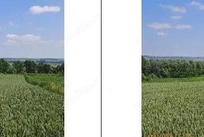 Teren extravilan Bosanci, ID: R2649420 - 7