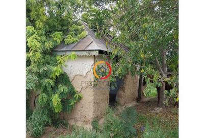 Teren 1950mp cu casa batraneasca 45 mp - 1