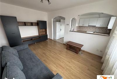 Apartament cu 2 camere semidecomandat în Cetate - 8
