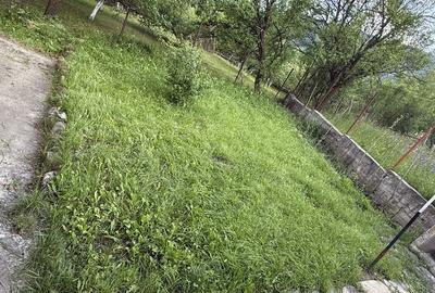 Casă cu 4 camere cu Teren 430 Mp în Valea Doftanei - 4