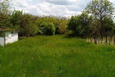 Teren agricol intravilan de 3038 mp, în Ardud - 4