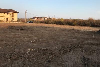 Teren Mogosoaia intravilan - 2