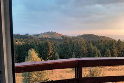 Casa individuala cu teren zona Paltinis - 18