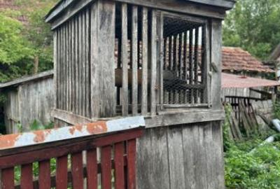 Casă individuală cu 3 camere cu Teren 3100 Mp în Asuaju de Jos - 1