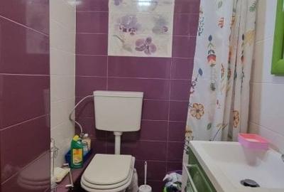 Casă individuală cu 5 camere cu Canalizare în Brâncoveanu - 23