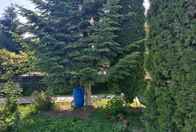 Casă individuală cu 5 camere cu Teren 2500 Mp în Central - 7