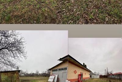 Spațiu comercial, în Corhana - 6