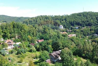 Pensiune de vanzare in Sovata Conacul Cosalina - 2