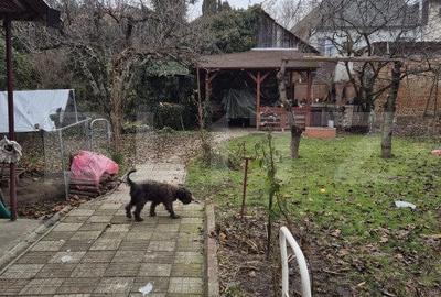 Casă cu 3 camere cu Canalizare în Central - 1