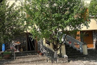 Casă cu 4 camere în Valea Doftanei - 4
