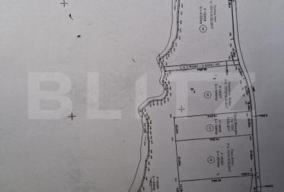 Spațiu comercial, în Paltin - 1