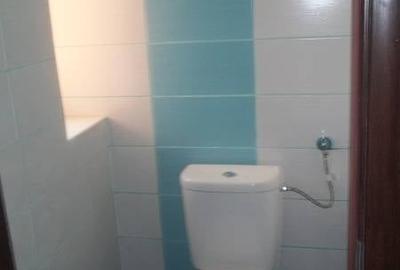 Apartament cu 2 camere semidecomandat, mobilat în Dumbrăvița - 9