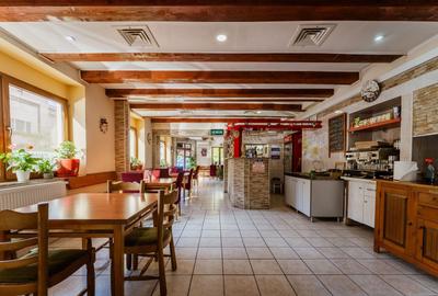 Afacere HoReCa de preluat – Pizzeria Venezia, Arad - 14