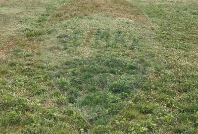 Spațiu comercial, în Partoș - 3