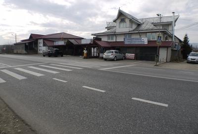 Hotel/Pensiune, de 10 mp, în Nicolae Bălcescu - 17