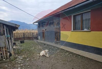 Casă / Vilă cu 5 camere de vânzare, Sarasau - 3