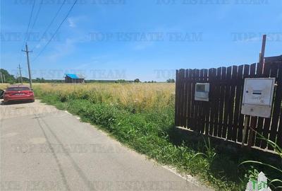 Teren 5000mp la asfalt/dubla deschidere in Mihai Voda - 1