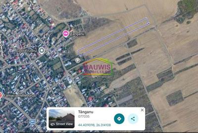 Teren de 11120 mp, în Cernica