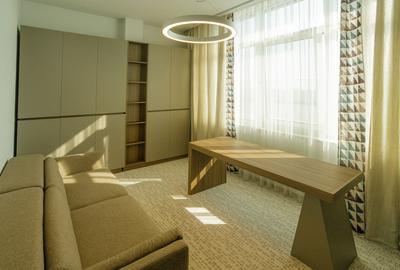 Penthouse spectaculos 291 mp cu terasa superba 450 mp in zona Mihai Bravu - 8