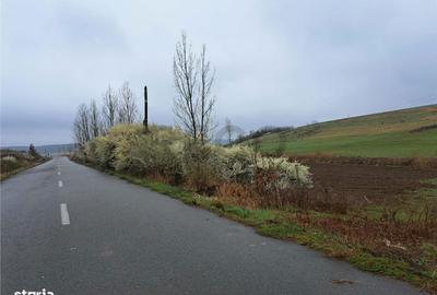 Spațiu comercial, în Viișoara - 2