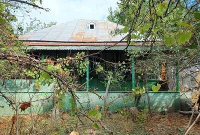 Casă cu 2 camere cu Teren 3000 Mp în Diculești - 5