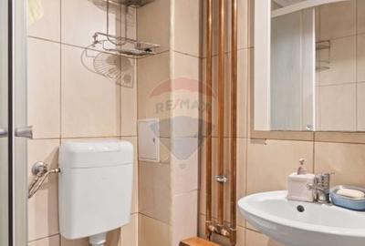 Apartament 1 camera de inchiriat zona Banul Maracine - 10