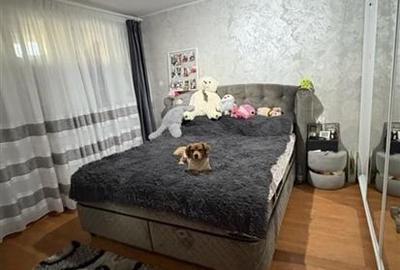 Vanzare Apartament 4 Camere Decomandat Berceni-Izvorul Crisului - 8