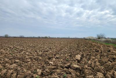 Teren de 3800 mp, în Moșnița Nouă