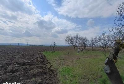 Teren de 6000 mp, în Săucești - 5