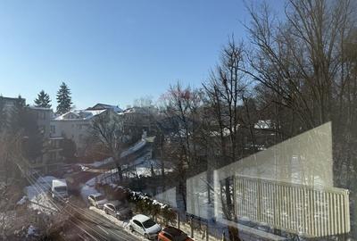 Spatiu de birouri de inchiriat in zona Gradinii Botanice, str. Ceahlau - 2