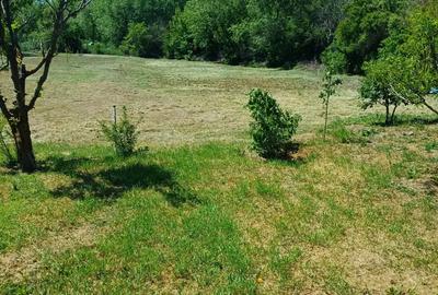 Casa Crevedia Mare Giurgiu - 9