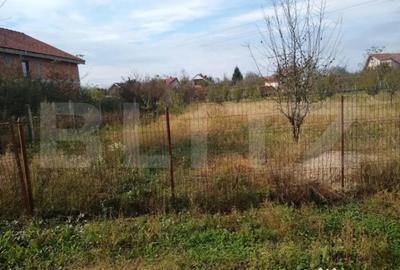 Teren de 4170 mp, în Bercu Roșu - 5