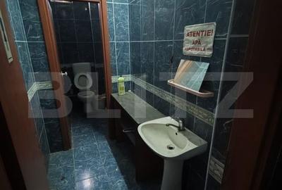 Spațiu comercial, în Oncea - 15