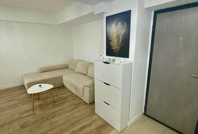 Apartament cu 2 camere semidecomandat în Cornitoiu - 1