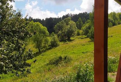 Casă în Plopi - 1