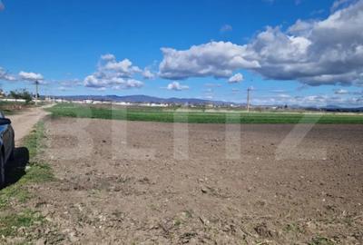 Teren de 15000 mp, în Central - 1