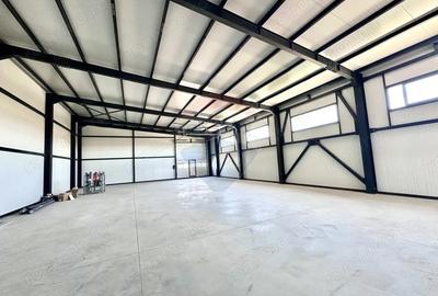 Spațiu comercial, de 425 mp, în Domnești - 5