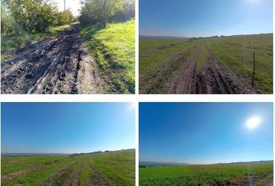 Teren de 7088 mp, în Havârna - 15
