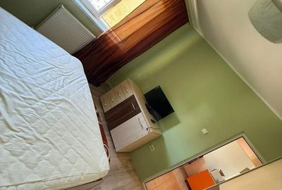 Apartament cu 2 camere decomandat în Palazu Mare - 7