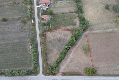 Teren Construcții intravilan de 4215 mp, în Teș - 2