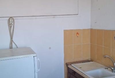 Apartament cu 2 camere semidecomandat în Domenii - 11