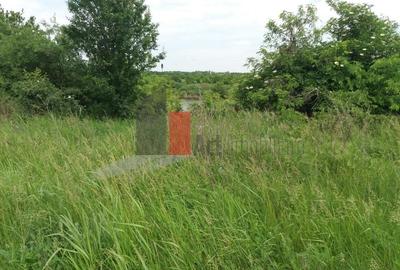 Teren Buftea cu iesire la lac - 27