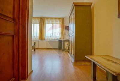 Hotel/Pensiune, de 2,950 mp, în Pănicel - 54